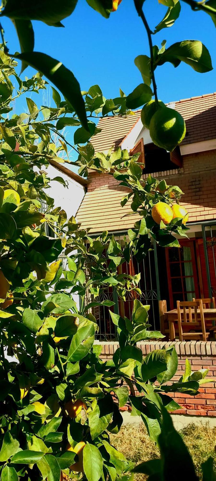 Bed and Breakfast Casa Bravo Мендоса Екстер'єр фото